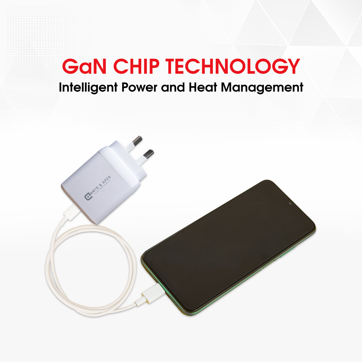 Ants & Apes 65w GaN Charger Adapter