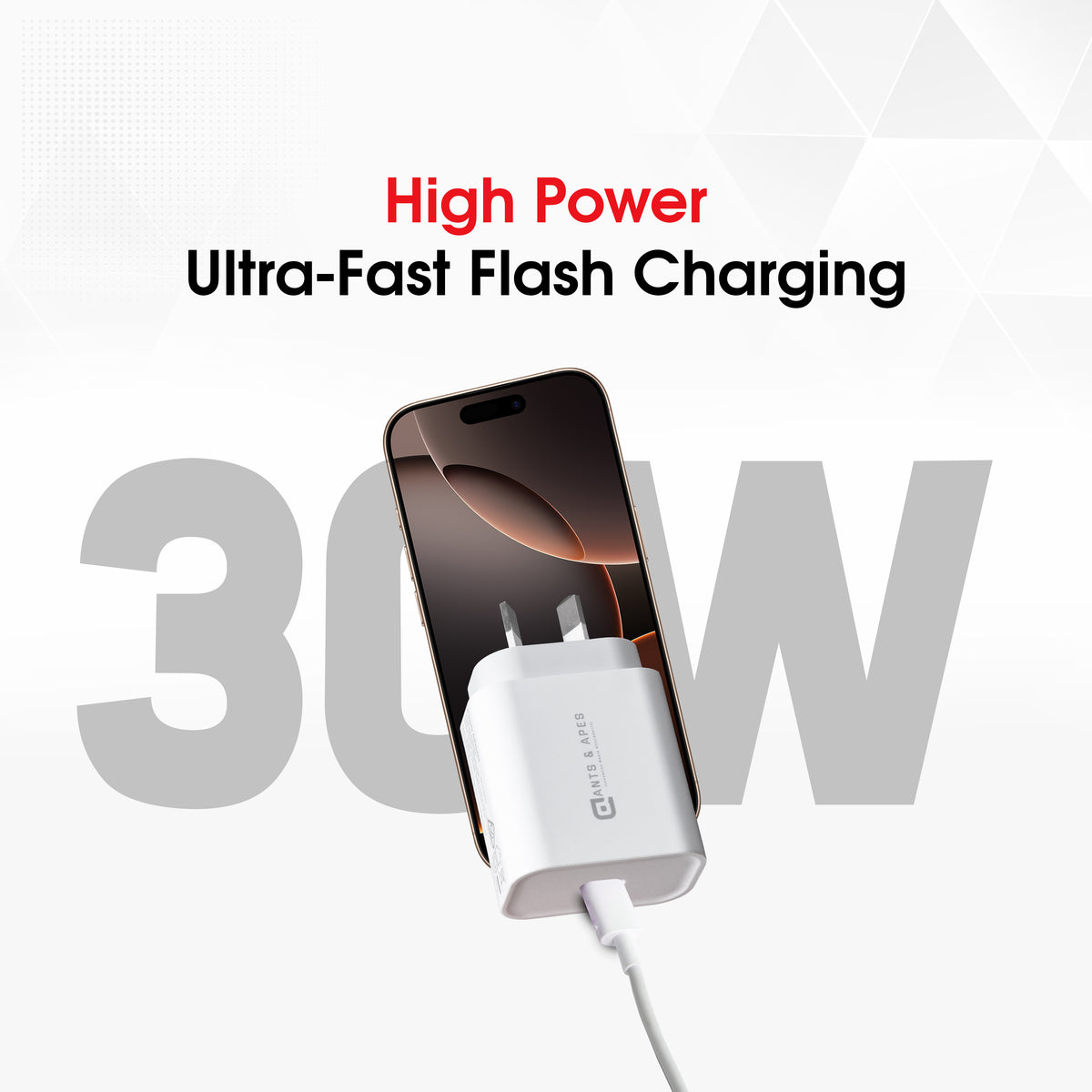 Ants & Apes 30W GaN Charger Adapter