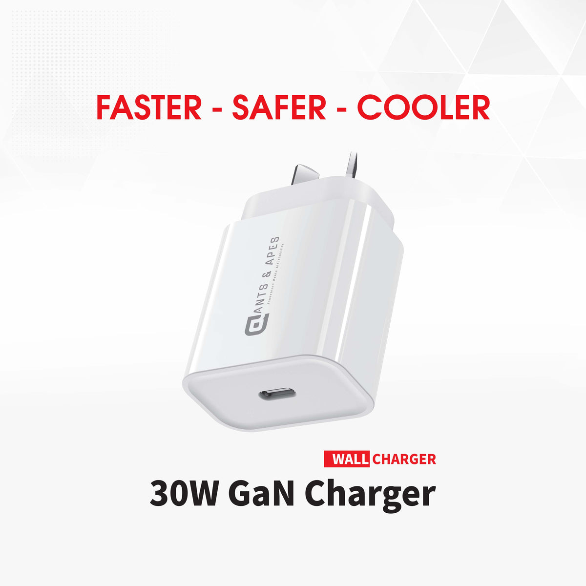 Ants & Apes 30W GaN Charger Adapter